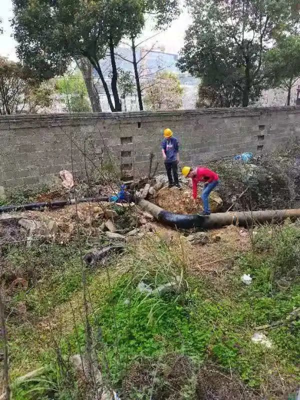 DƬ